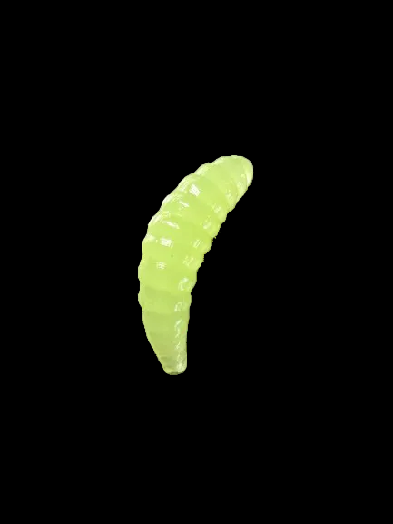 7/8” Maggots