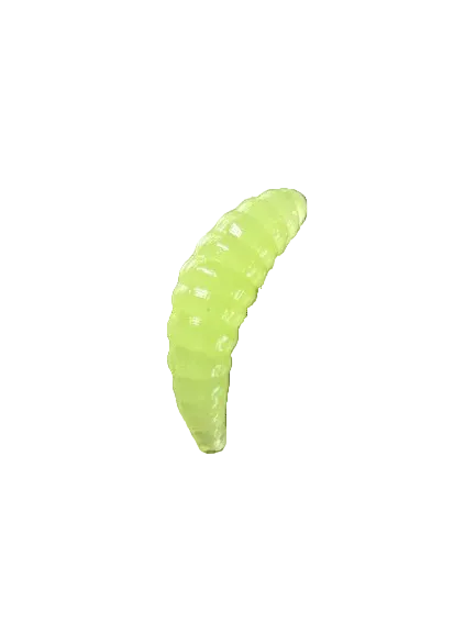 7/8” Maggots