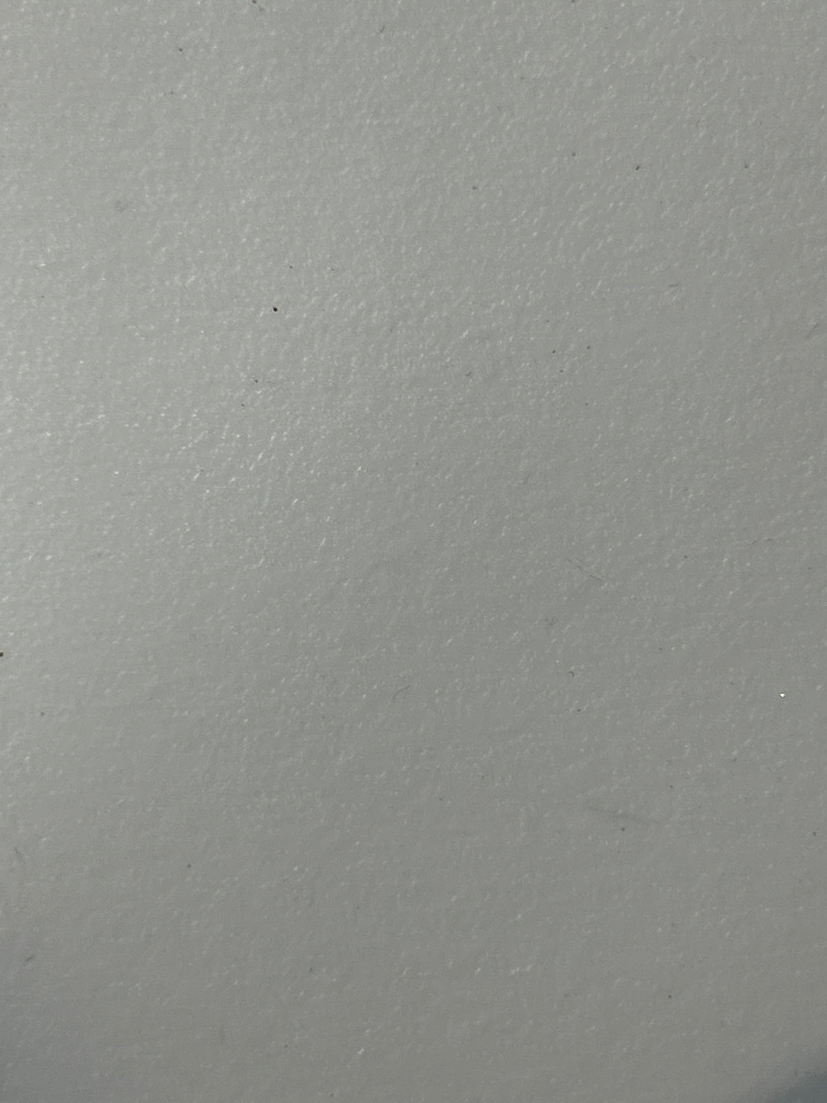 Silicone Wedge Tails