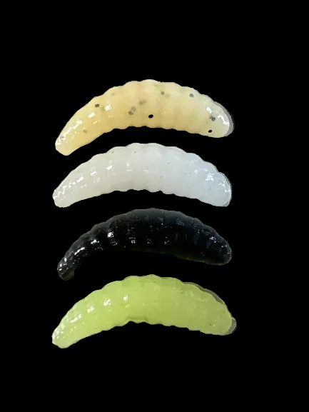 7/8” Maggots